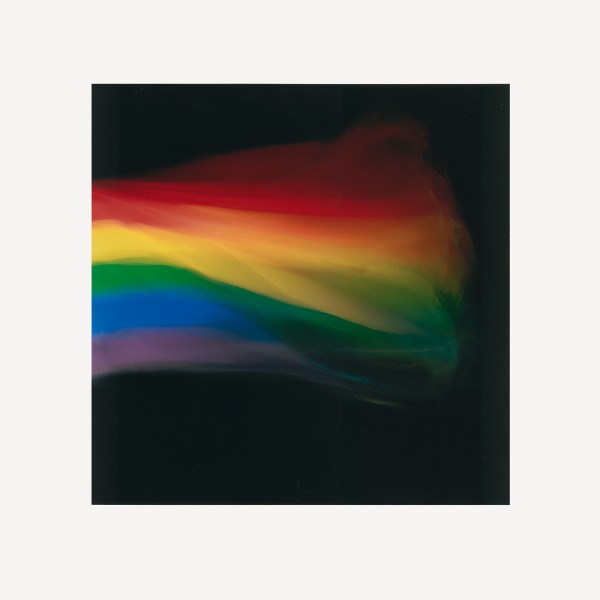 Rainbow Flag, 2013